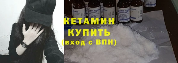 шишки Аркадак