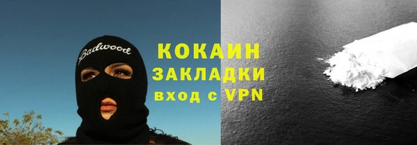 шишки Аркадак