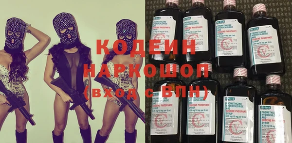 шишки Аркадак