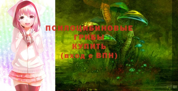 молекула духа Арсеньев