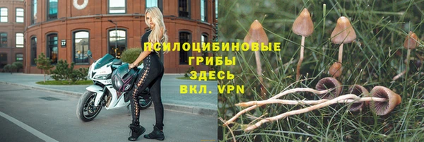 молекула духа Арсеньев