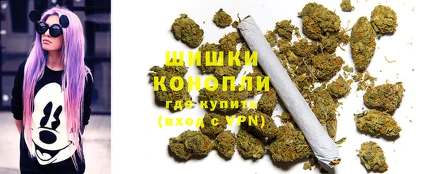 шишки Аркадак