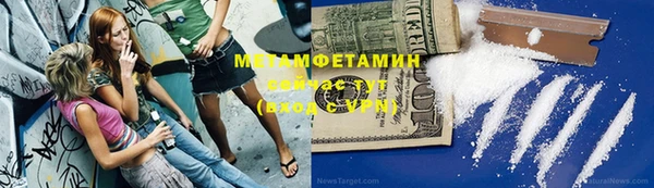 шишки Аркадак