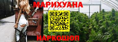 индика Сосновый Бор