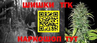 индика Сосновый Бор