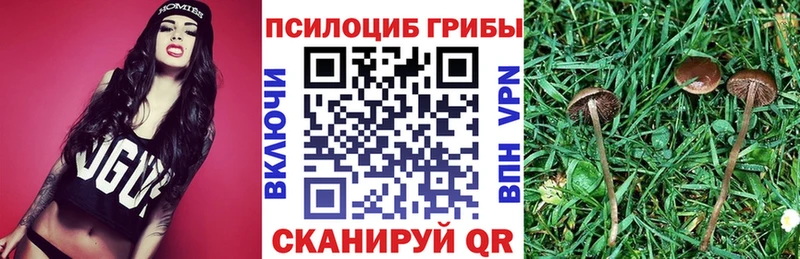 Псилоцибиновые грибы GOLDEN TEACHER KRAKEN рабочий сайт Аша