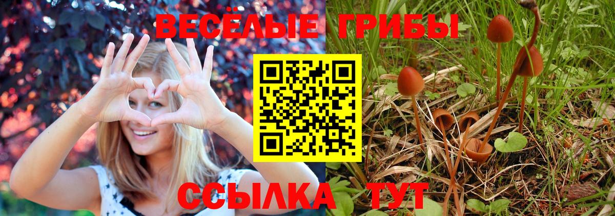 Псилоцибиновые грибы Magic Shrooms Аша