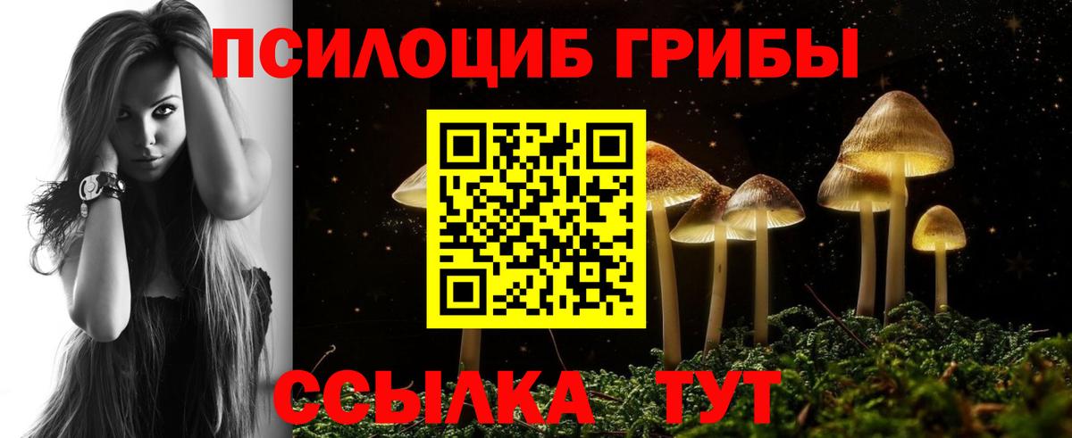 Псилоцибиновые грибы мицелий  Вход с VPN  Псилоцибиновые грибы Psilocybine cubensis  Аша 